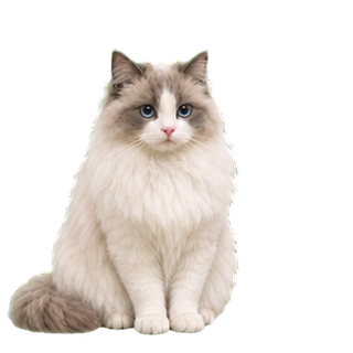 布偶猫 3D 写实版预览